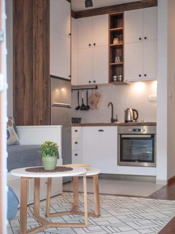 Cozy Studio Apartment Mila 波德戈里察 外观 照片